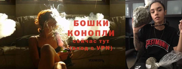 дживик Осинники