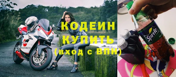 дживик Осинники
