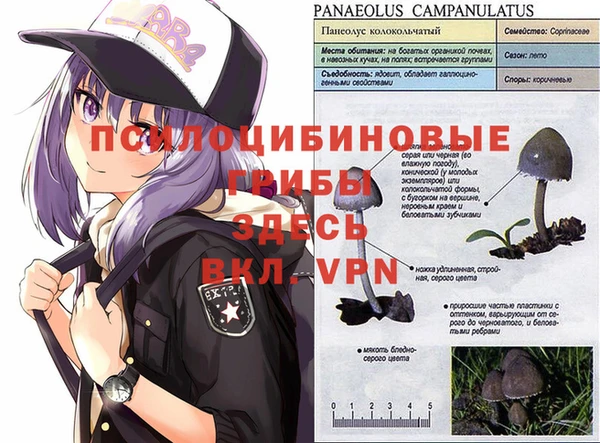 первитин Остров